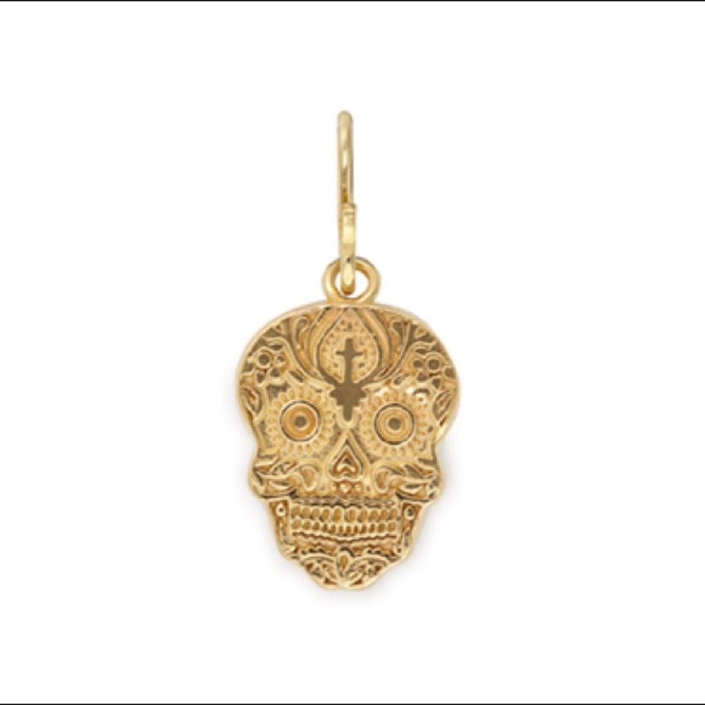 Alex and Ani necklace charm